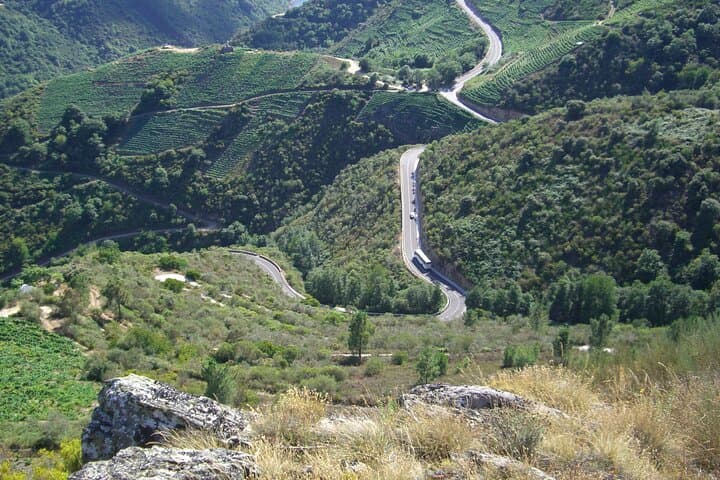 Ribeira Sacra by boat (optional) visit to Ourense from Santiago