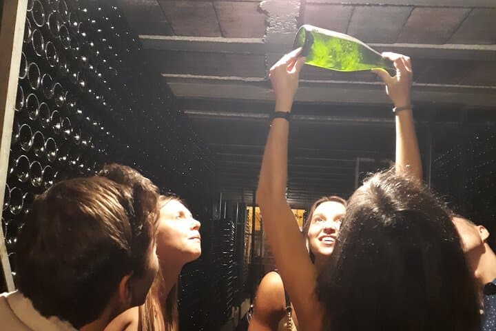 Cava tour to 3 family wineries with hotel pick-up