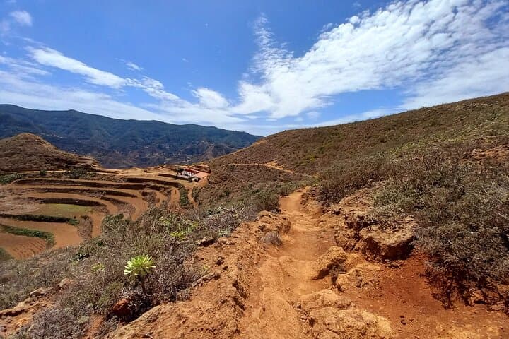 Amazing Anaga: Small-Group Hiking Tour (12km) in Tenerife