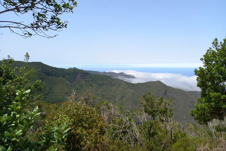 Masca from above