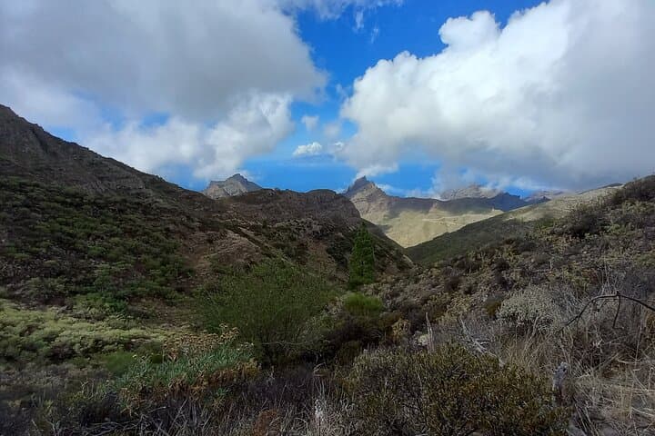 Masca from above
