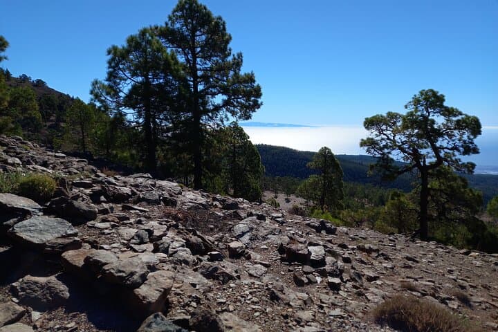 Hiking in Tenerife's Great Outdoors