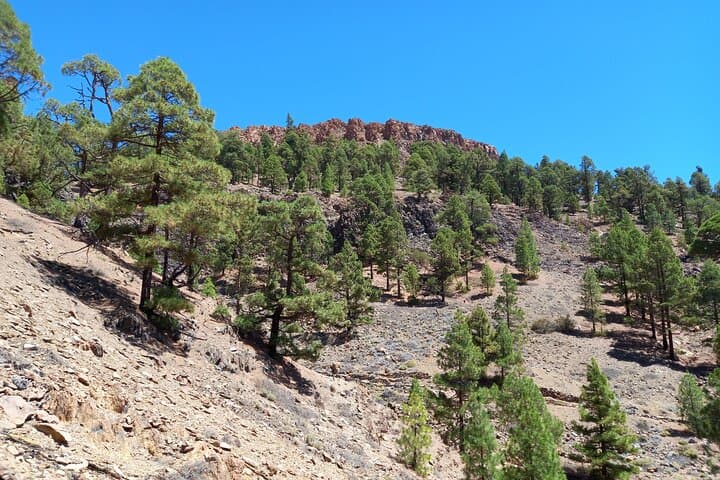 Hiking in Tenerife's Great Outdoors
