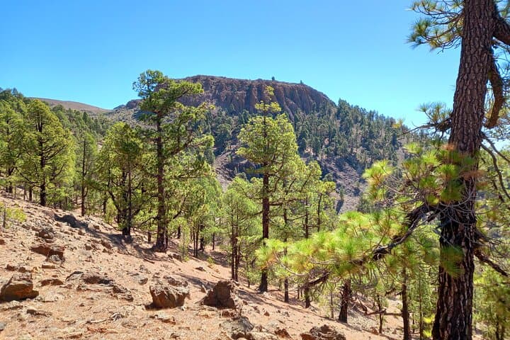 Hiking in Tenerife's Great Outdoors