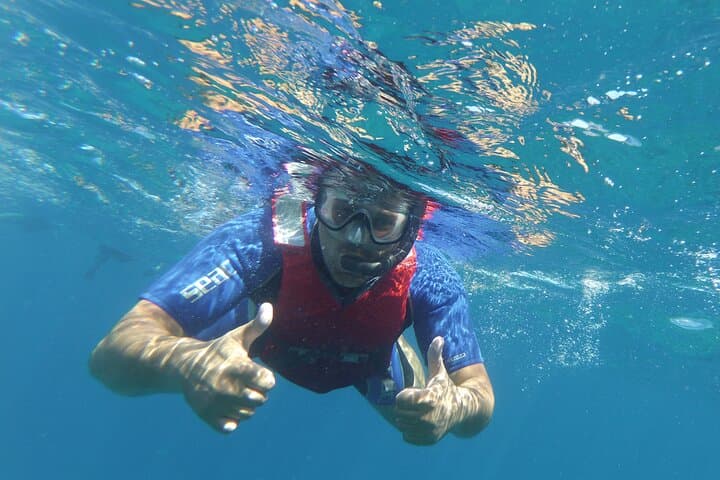 Kayaking + snorkeling with turtles