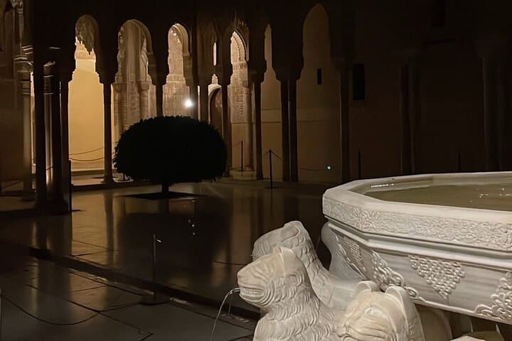 Night tour of the Alhambra and the Nasrid Palaces