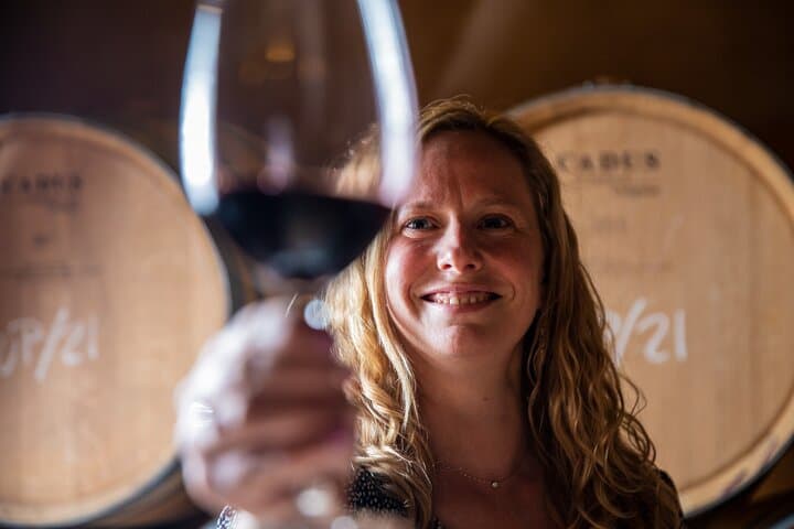 Alcudia Winecellar Tour with Vineyard Visit, Tasting of 5 Wines