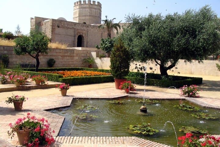 Private 6 hours Tour of Cadiz and Jerez de la Frontera from Cadiz