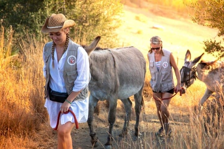 Chilling with the donkeys