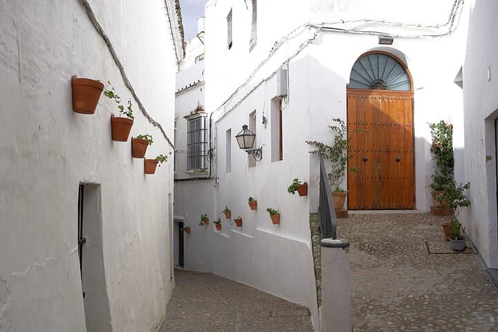 Private 8-Hour Tour of Cadiz and White Villages from Cadiz