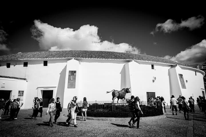 Private Guided Walking Tour in Ronda