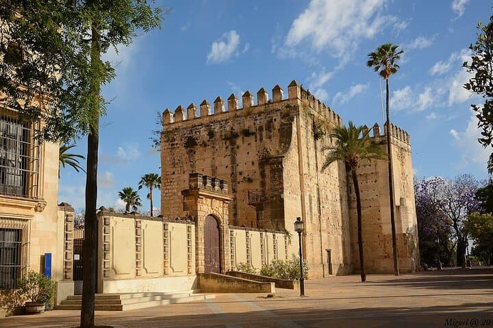 Private excursion to Jerez de la Frontera with Equestrian Show from Cadiz