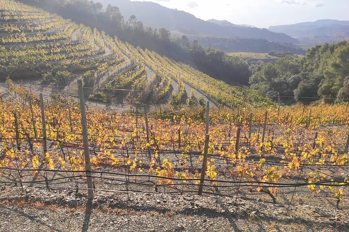 PRIORAT MEDIEVAL PRIORAT Full Day Tour Siurana and Escala Dei
