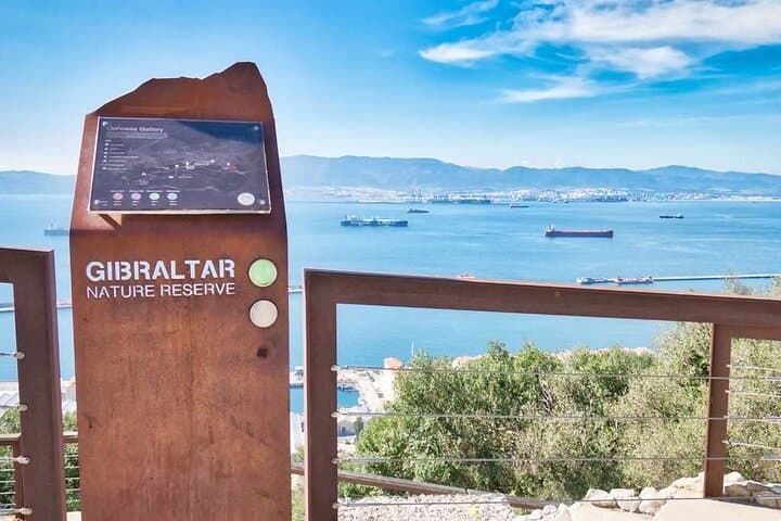 Private 8-Hours Tour of Gibraltar from Cadiz hotel or cruise port