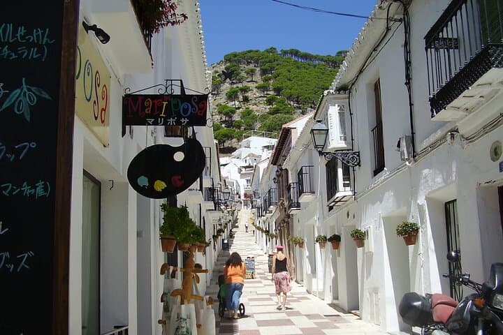 Private Day Trip to Las Mijas from Malaga