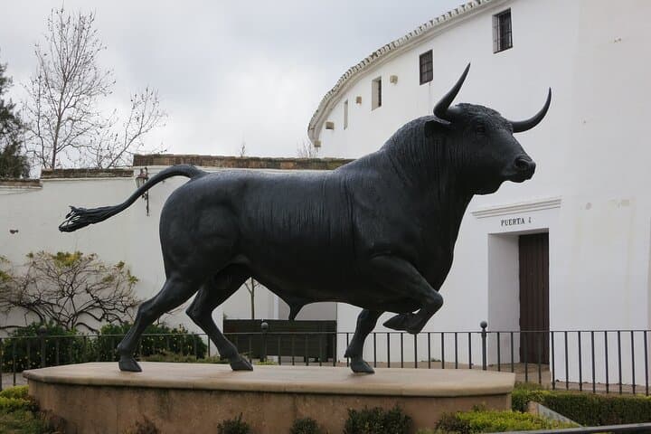 From Malaga: Private Day trip to Ronda with Bullring Entrance