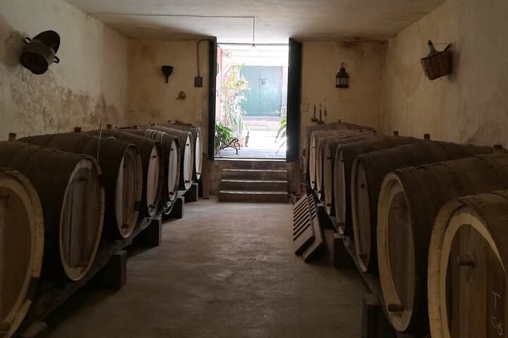 Wine Cellar