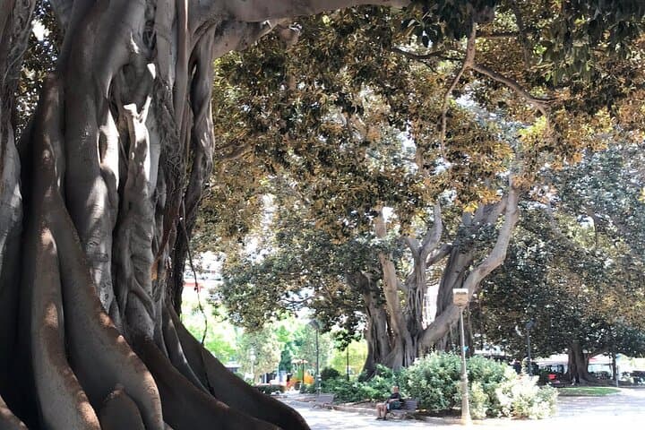 Three Parks Tour | Private Ride by Bike, E-Bike, E-Step or Segway