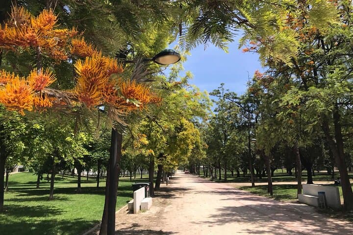 Three Parks Tour | Private Ride by Bike, E-Bike, E-Step or Segway