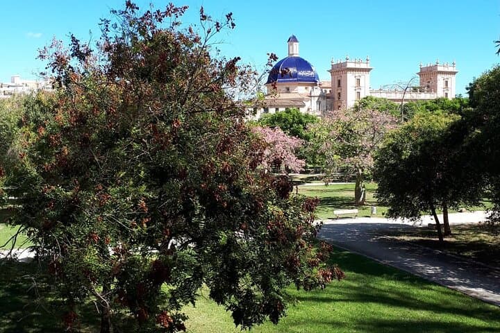 Three Parks Tour | Private Ride by Bike, E-Bike, E-Step or Segway