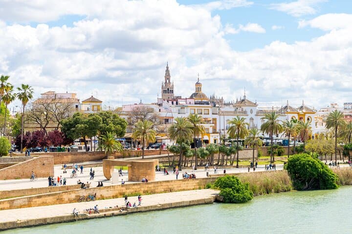Private 8-hour tour to Seville from Cadiz with port pick up