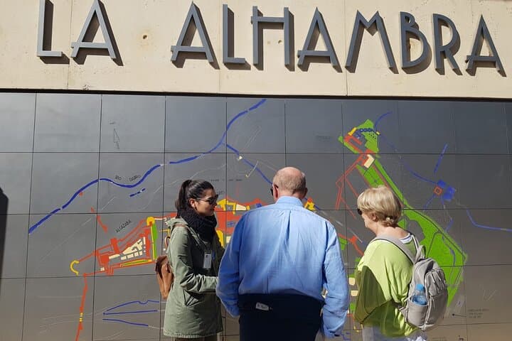 Alhambra Skip-the-line Private Tour including Nasrid Palaces
