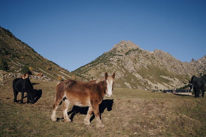 Valley of Incles in Autumn
