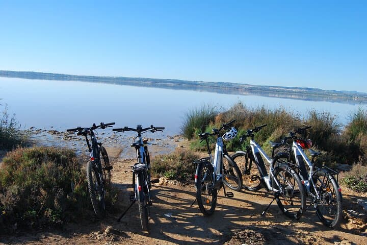 Electric Bicycle Tour through the Natural Parks of Torrevieja