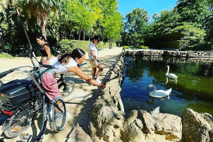 Seville ElectricBike Tour 2h | Explore Like a Local | Small Group