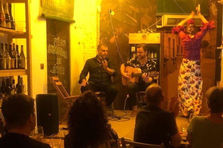 Flamenco show with wine tasting and tapas at Bodega La Jara