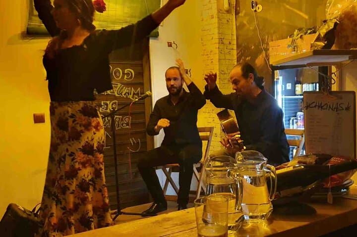 Flamenco show with wine tasting and tapas at Bodega La Jara