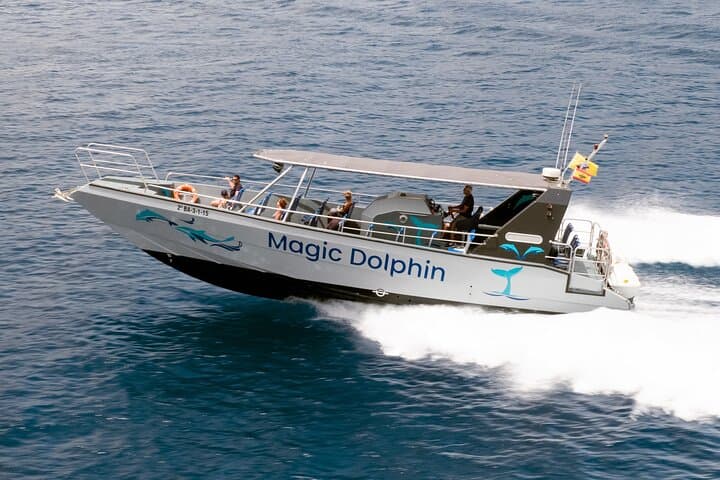 MAGIC DOLPHIN - fuerteventura boat trips - whale watching - dolphin watching