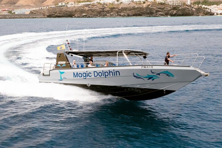 MAGIC DOLPHIN - fuerteventura boat trip - dolphin tour - fuerteventura whale watching
