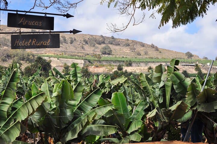 Coffee & Wine: North Route of Gran Canaria Tour
