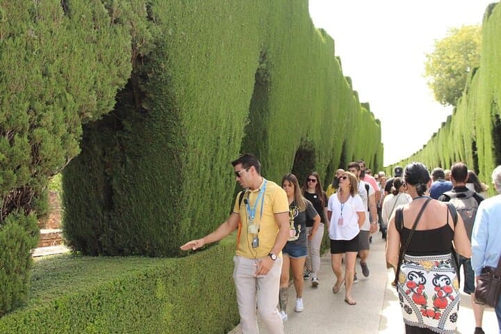 Medina of the Alhambra in Granada
