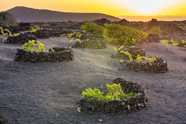 Private Half Day Excursion to Lanzarote with pick-up and drop-off