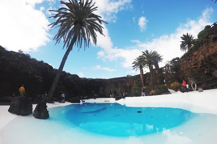 Tour of Jameos del Agua Viewpoint and Valley of 1000 Palm Trees for cruise passengers