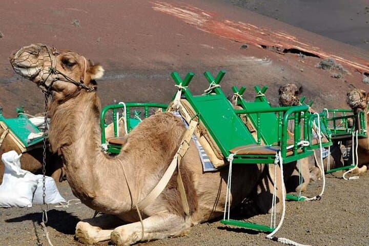 Private Half Day Excursion to Lanzarote with pick-up and drop-off