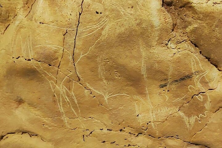 Altamira Neocave