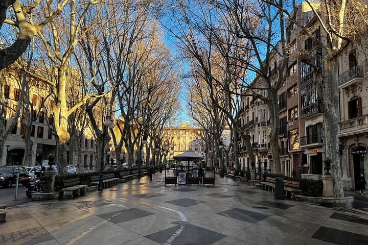 Palma de Mallorca Cultural and Foodie Tour