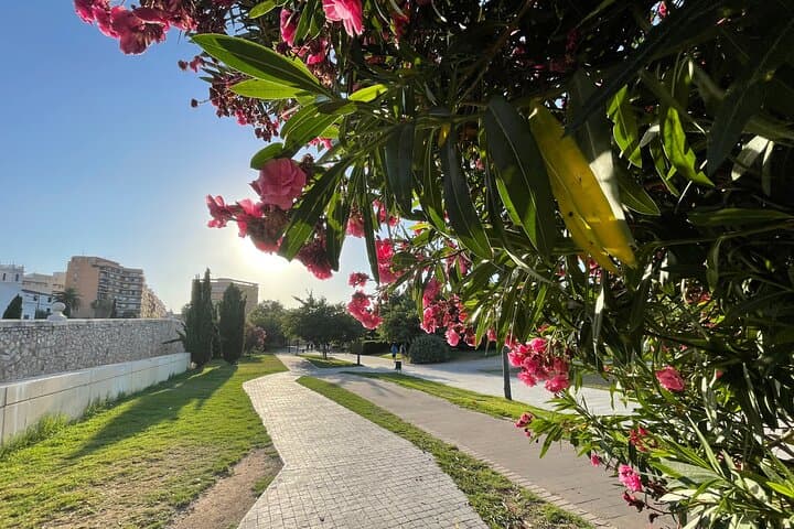 Valencia Bike Tour: Top Sights and City of Arts & Sciences