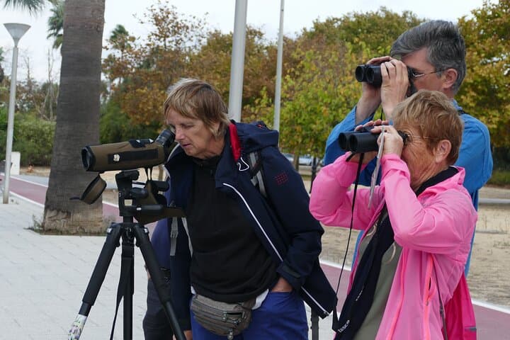 Birding Costa del Sol Day tour