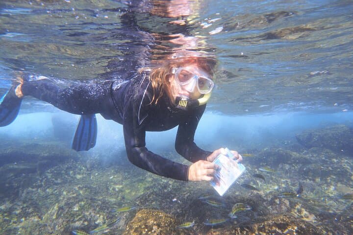 With us you will learn the names of fish and their characteristics