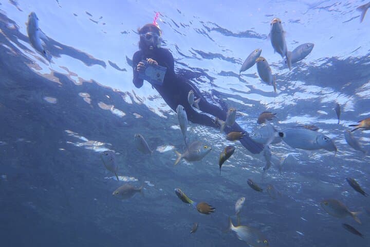 Lanzarote enjoys a vast biodiversity