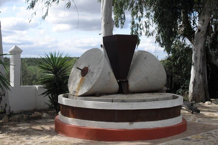 Private Olive Oil Tour from Sevilla