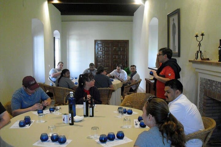 Private Olive Oil Tour from Sevilla