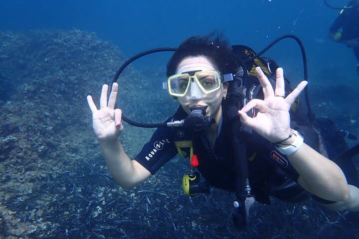 Mallorca: Try Scuba Diving in a Beautiful Nature Reserve