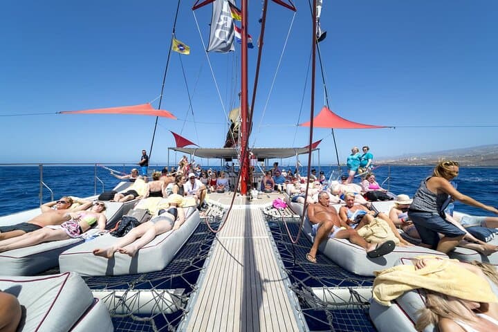 Exclusive Freebird Catamaran Whale and Dolphin Cruise to Caleta