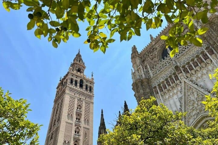 Private Tour Alcazar Seville Cathedral and Giralda Tower Climb