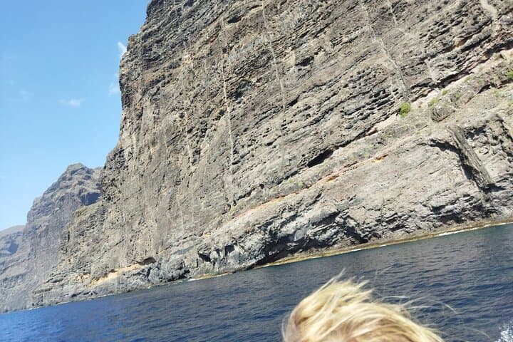 SEA SAFARI Dolphins, Whales, 3h speedboat DISCOVERY-TOUR